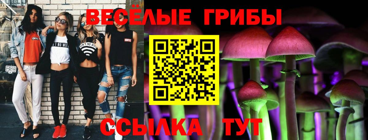 Мурманск  Галлюциногенные грибы Cubensis  Вход с VPN 